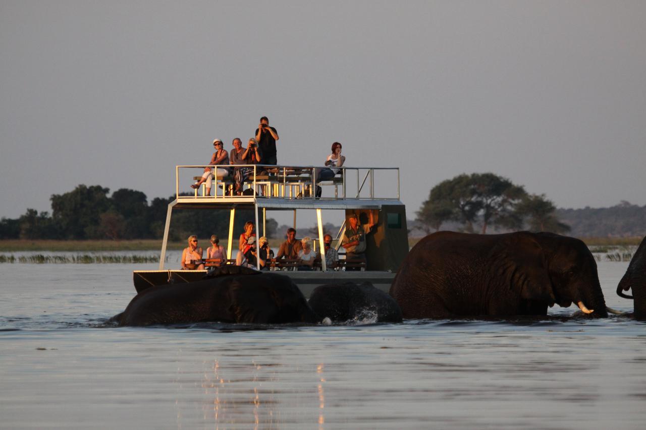 Chobe River Camp Ngoma Bagian luar foto
